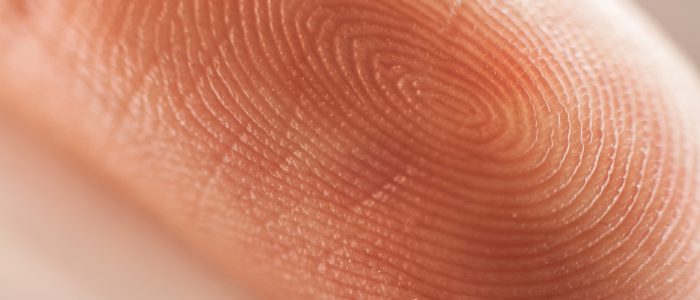 Macro view of Human fingerprint.